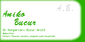 aniko bucur business card