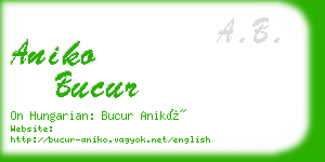 aniko bucur business card